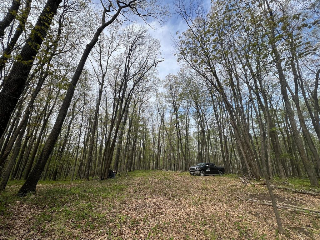 Picture 6