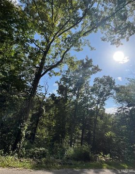 Residential Land Near Lake Taneycomo