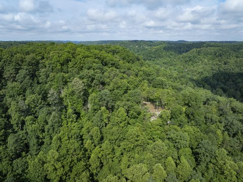 Land, Zoe, KY