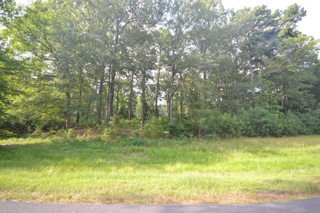 Picture 3