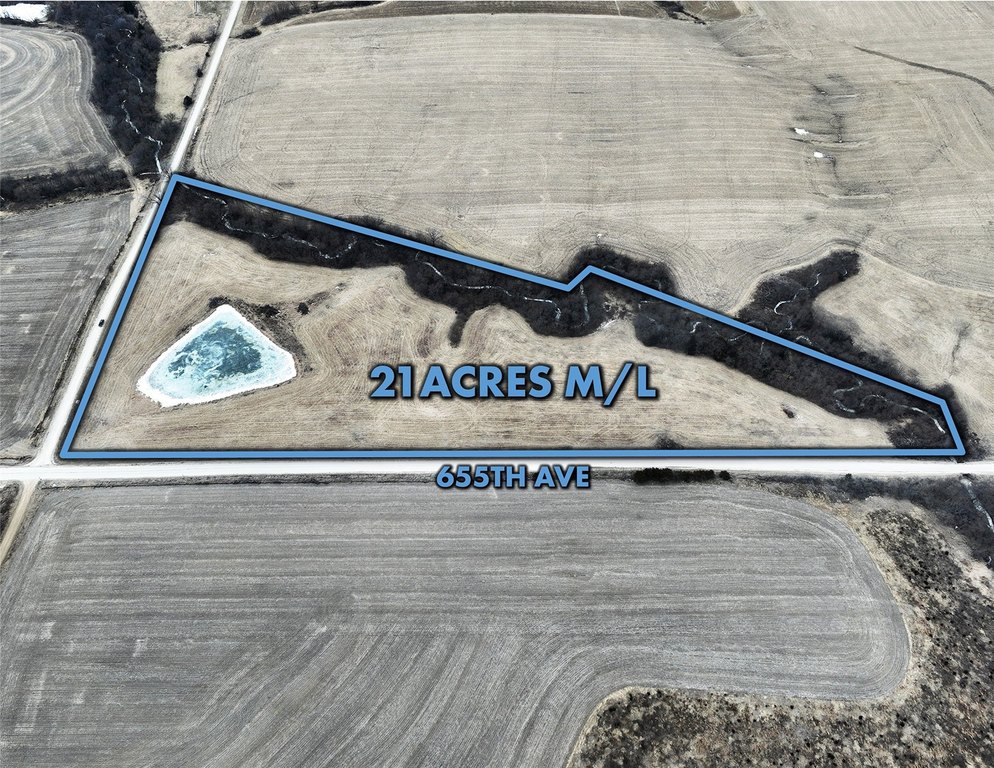 Picture 16
