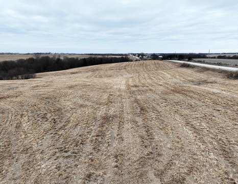 21 Acres in Monroe County