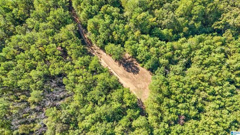 LAND/LOTS, CENTREVILLE, AL