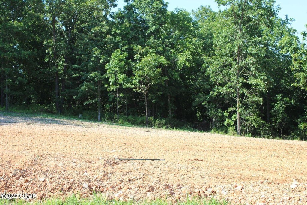 Picture 7
