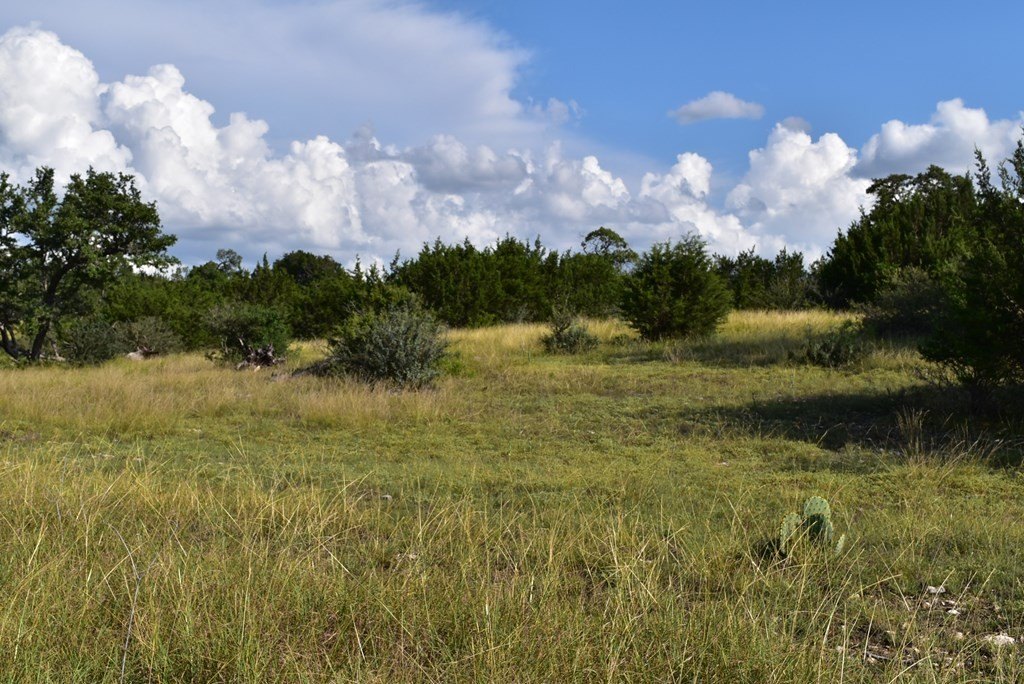 Picture 10
