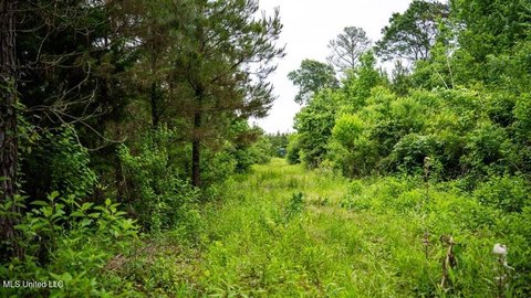 Cypress Bayou Hunting Land