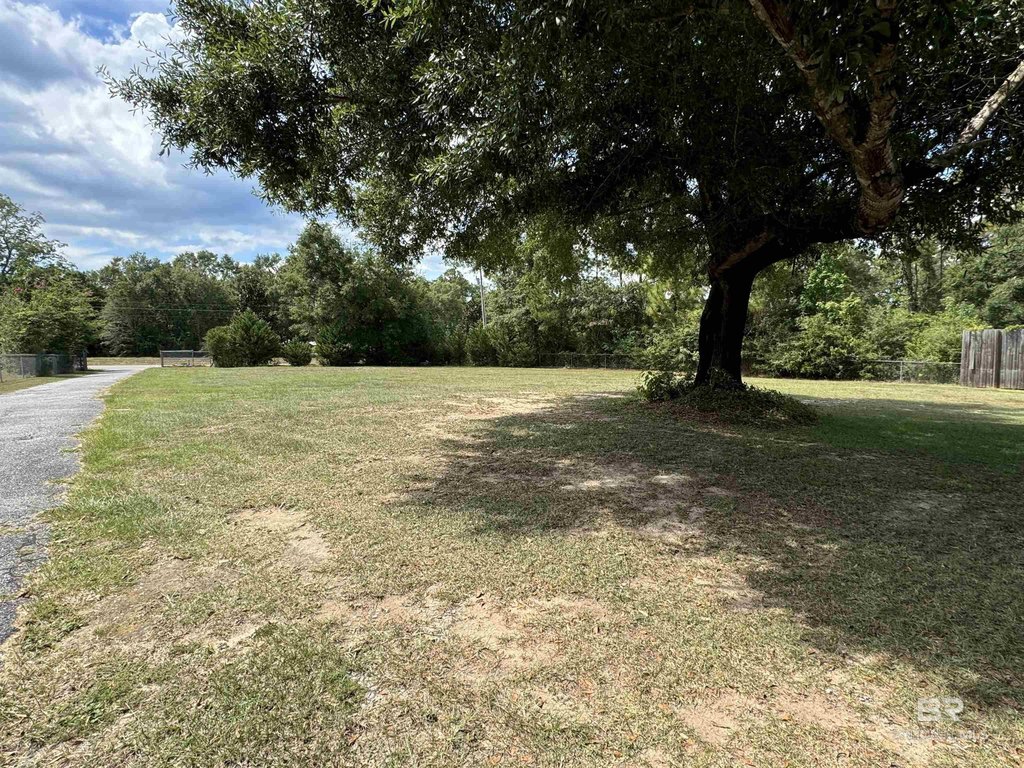 Picture 22