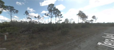 LAND - Lehigh Acres, FL