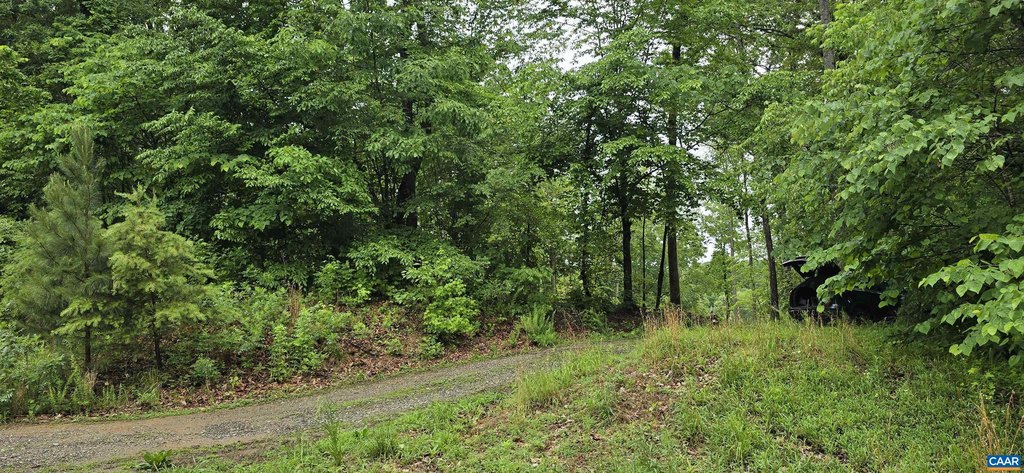 Picture 14