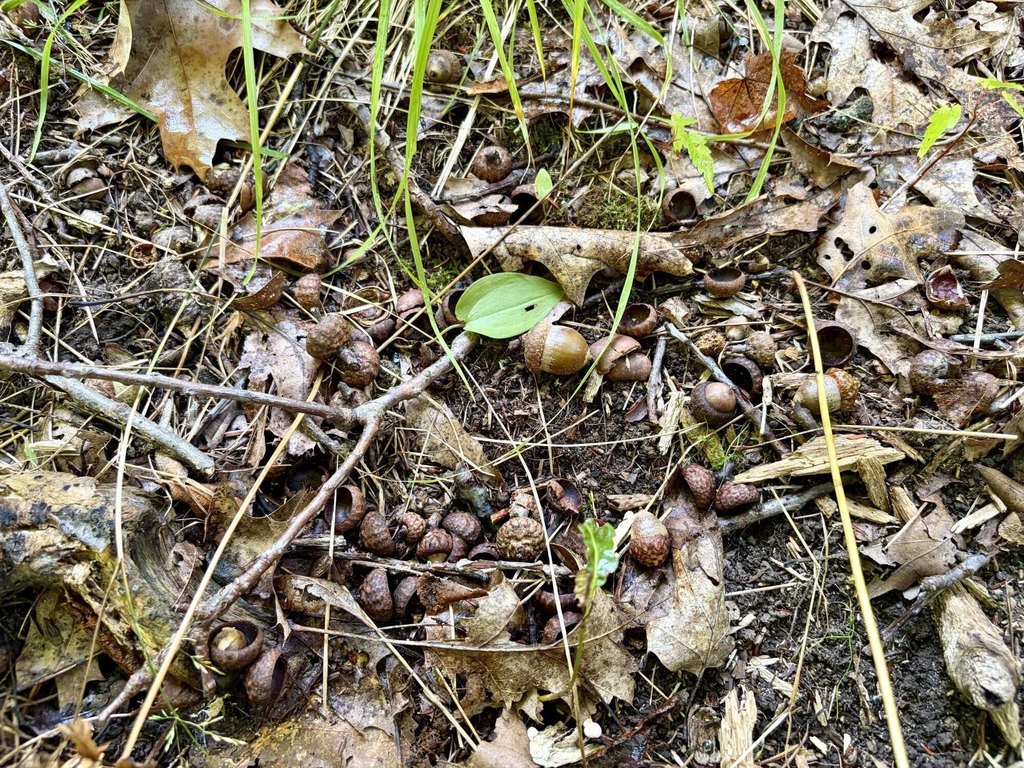 Picture 27