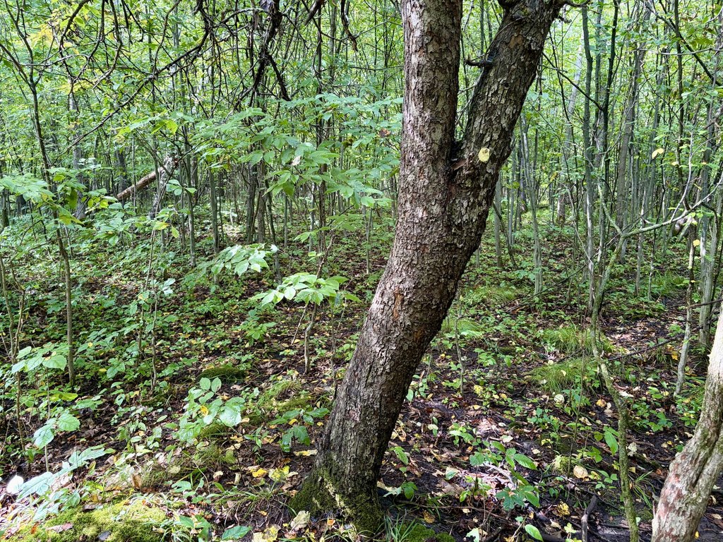 Picture 23