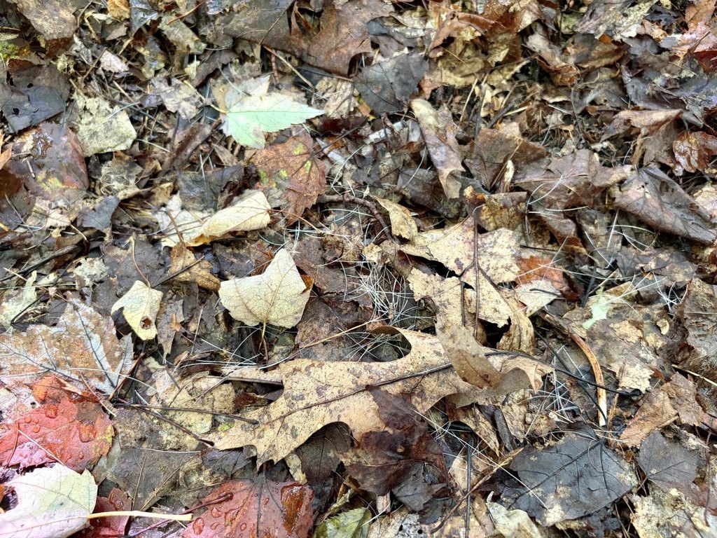 Picture 29