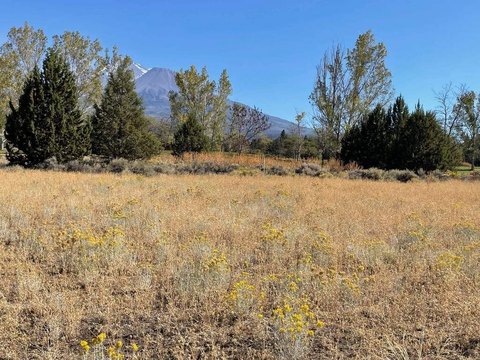 Land, Weed, CA