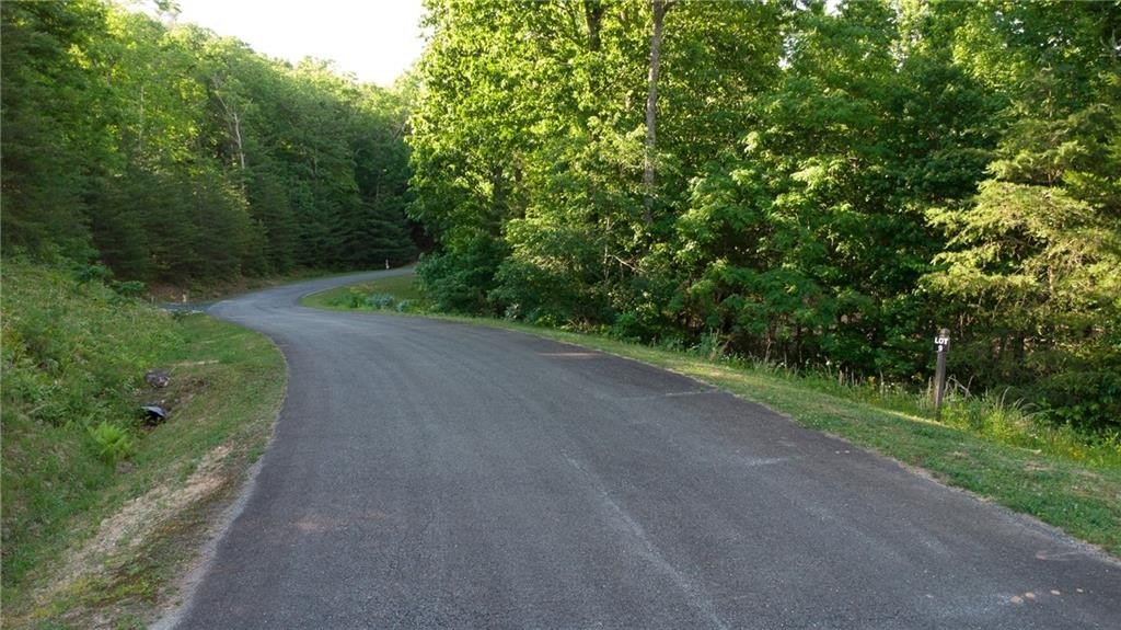 Picture 4