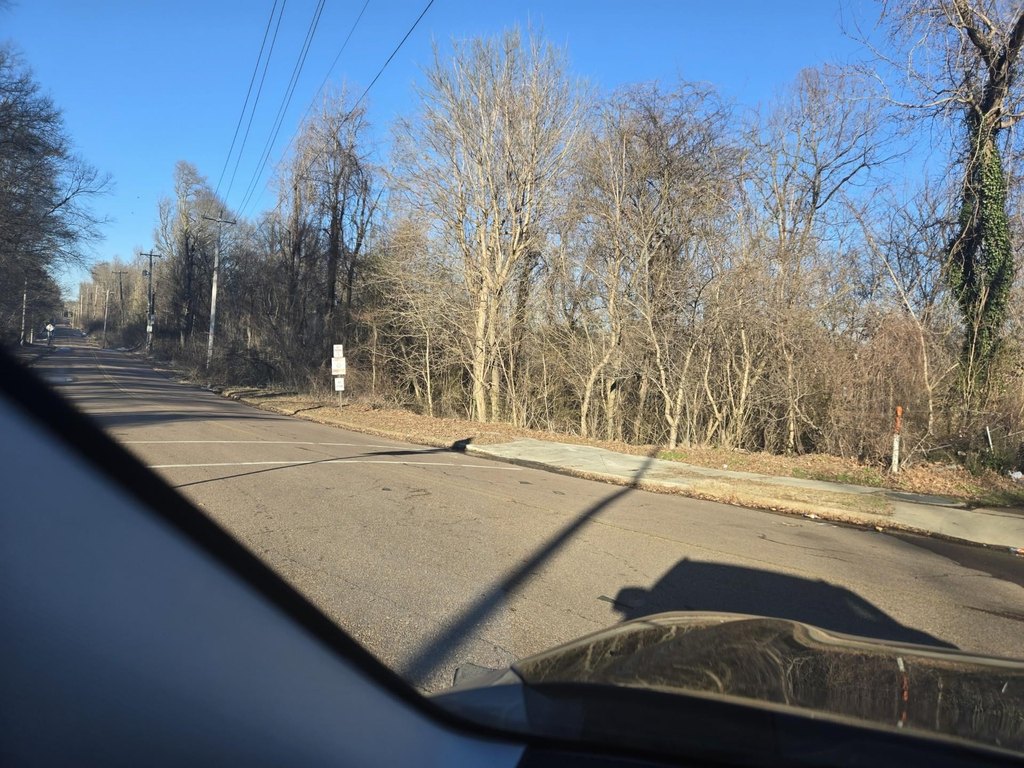 Picture 2