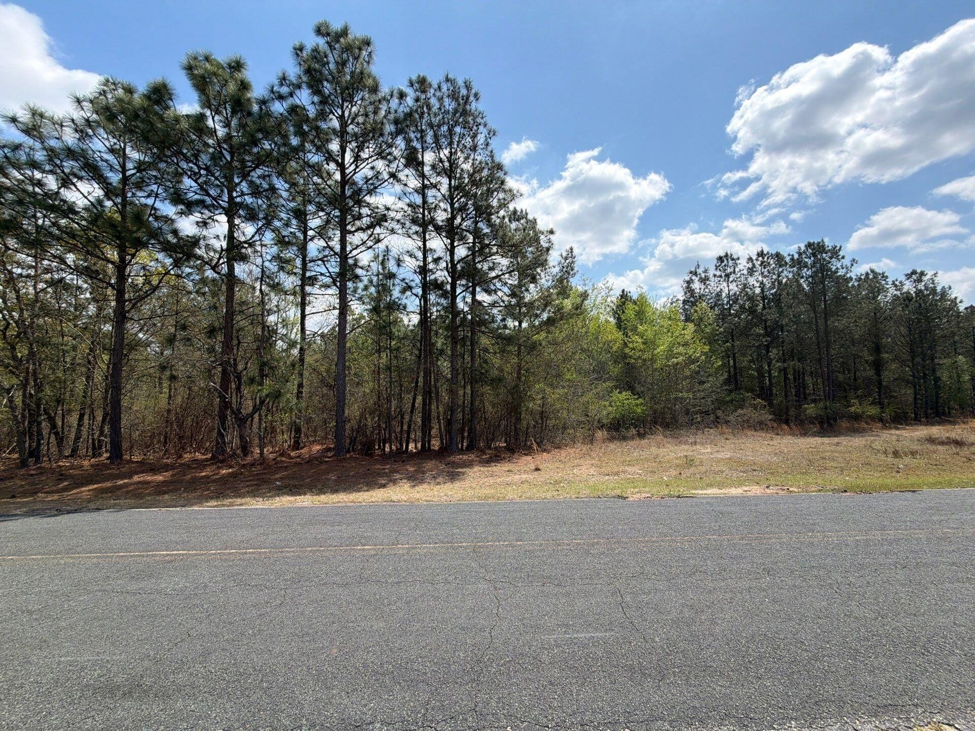 Ridge Spring 7-Acre Land Parcel