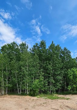 Homesite at The Orchards Village