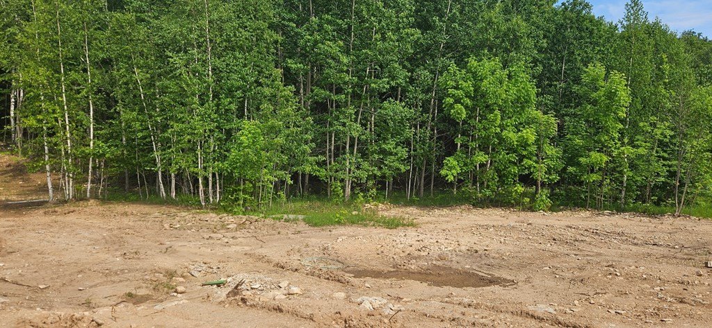 Picture 4