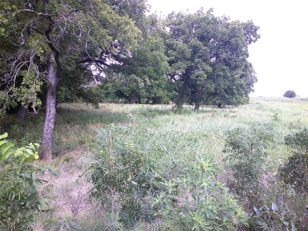 Picture 4