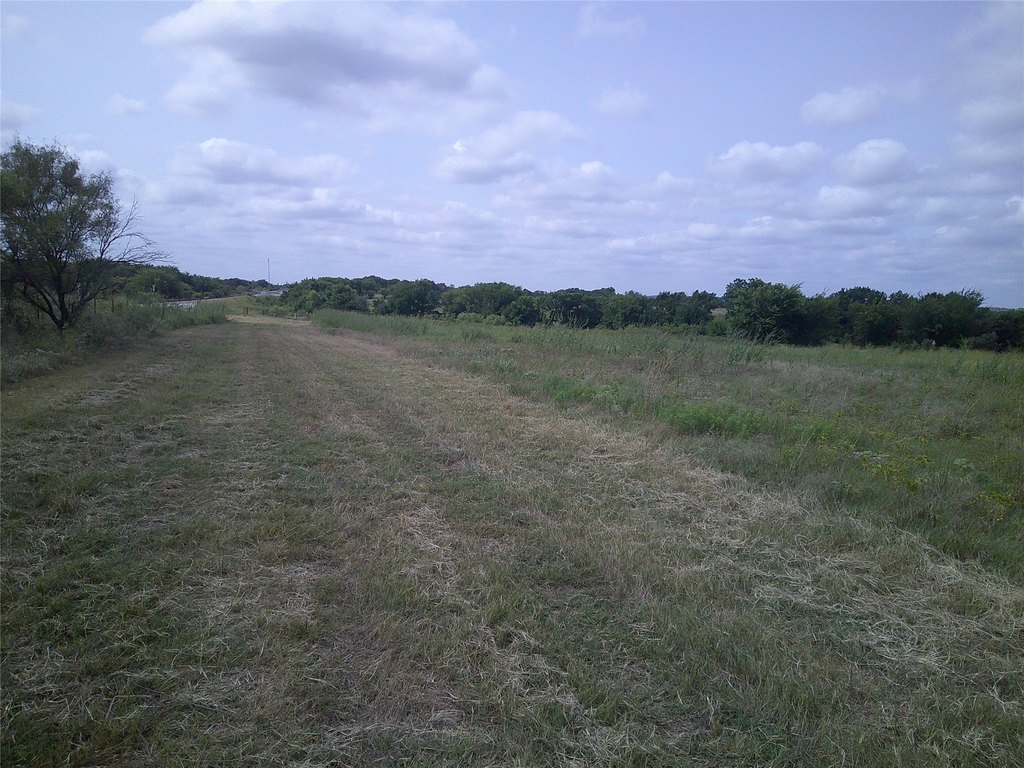 Picture 10