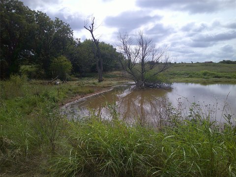 Land with Texas Pecan Trees