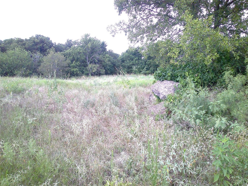 Picture 11