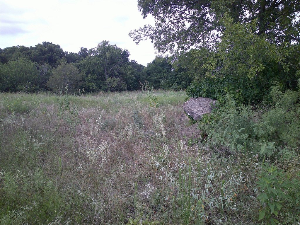 Picture 3