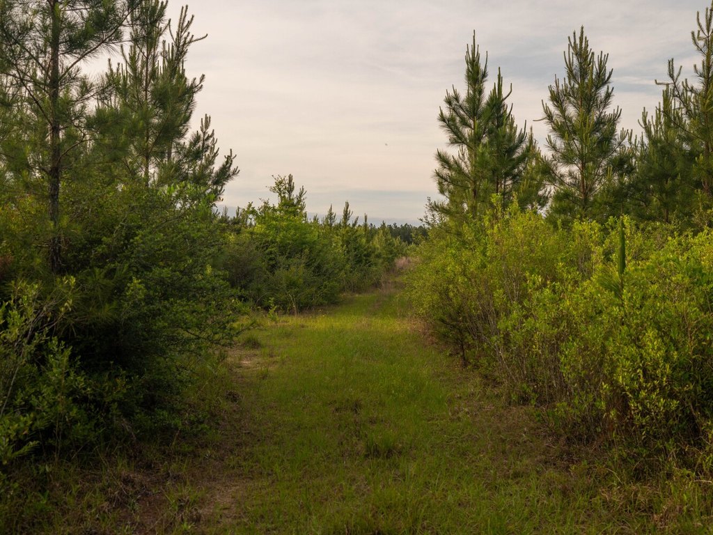 Picture 18