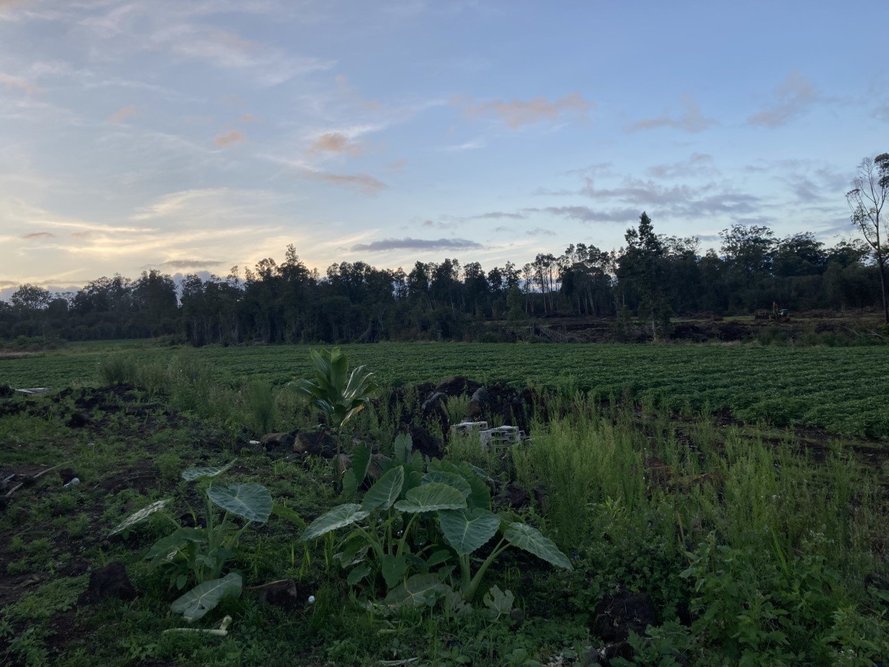 Volcano Agricultural Land For Sale