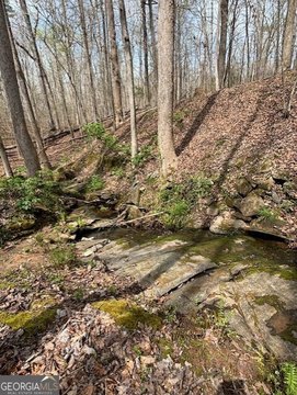 Wooded Land in South Rockdale