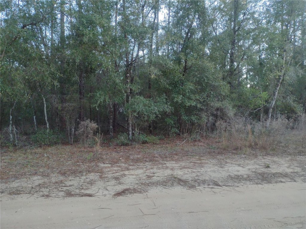 Picture 3