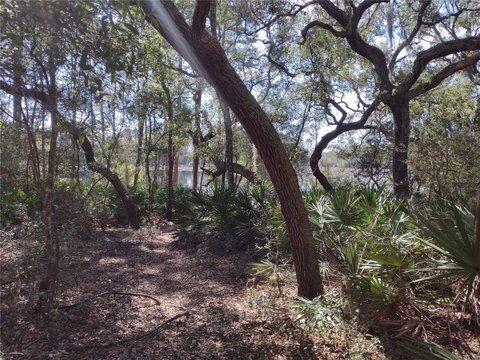 Waterfront Residential Lot