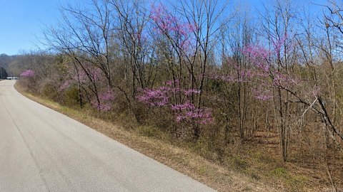 LAND - Holiday Island, AR