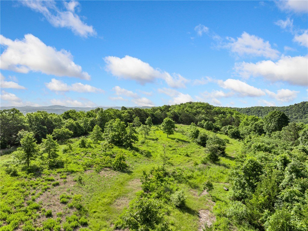 98.47 Acres Unrestricted Land