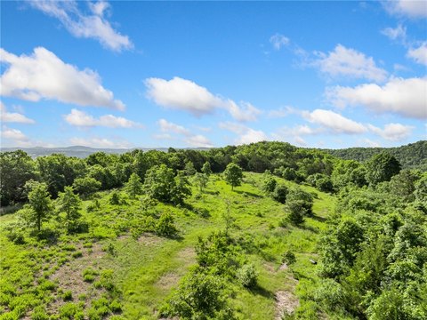98.47 Acres Unrestricted Land