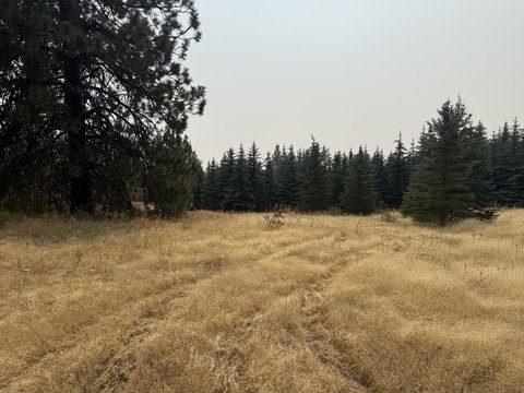 LAND - Mica, WA