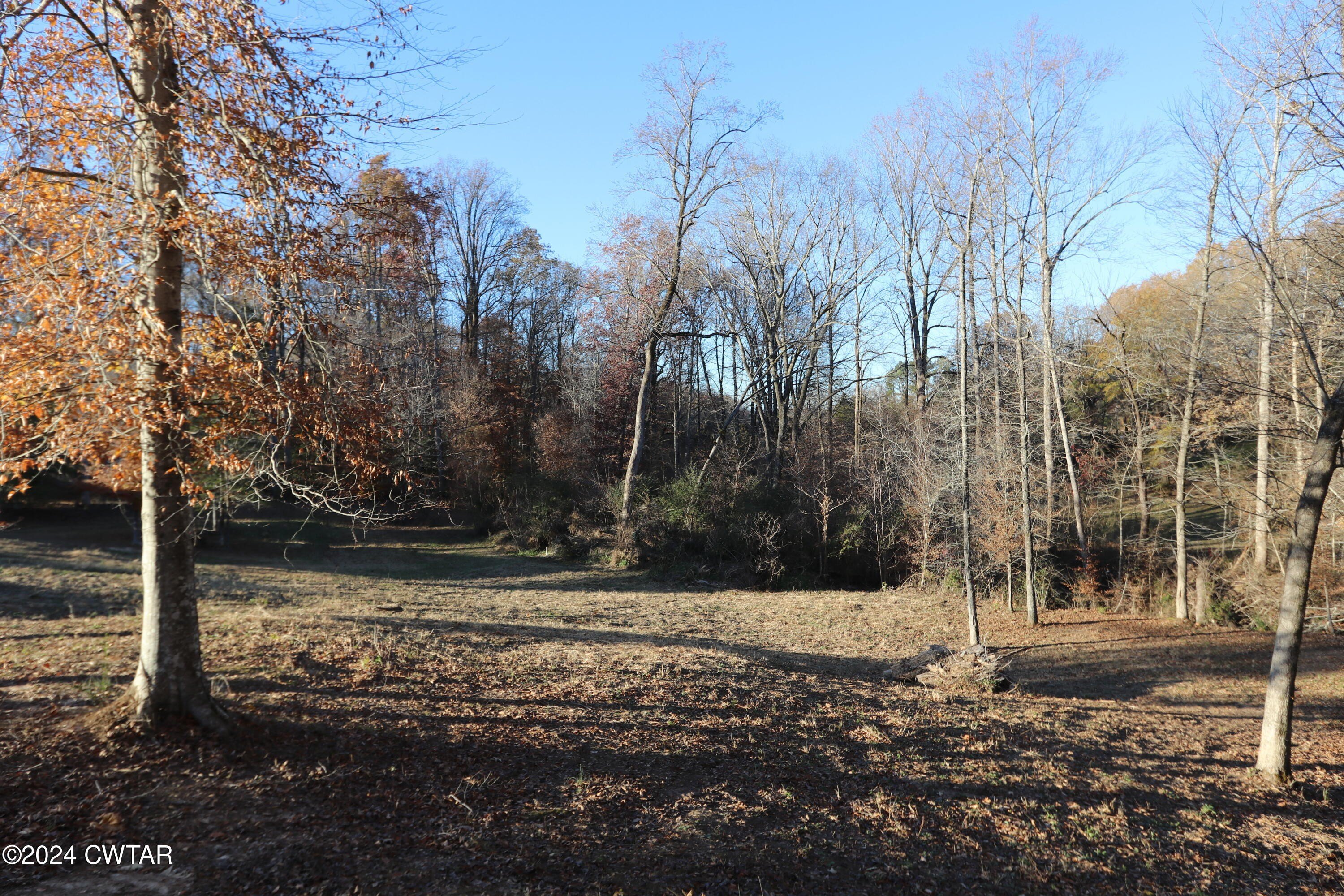 Residential Land in Jackson, TN