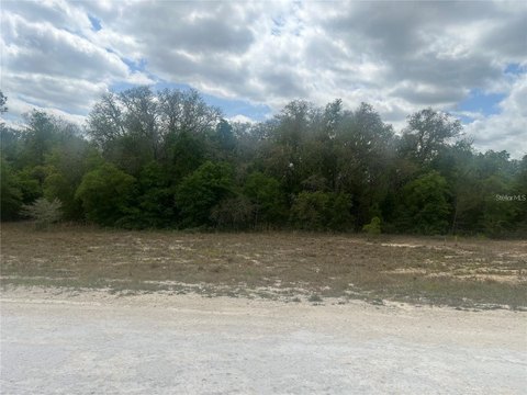 Land, WEBSTER, FL