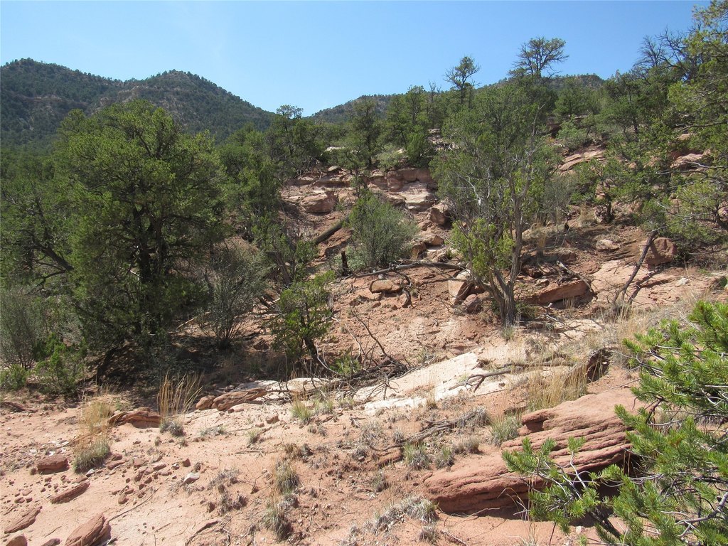 Picture 11
