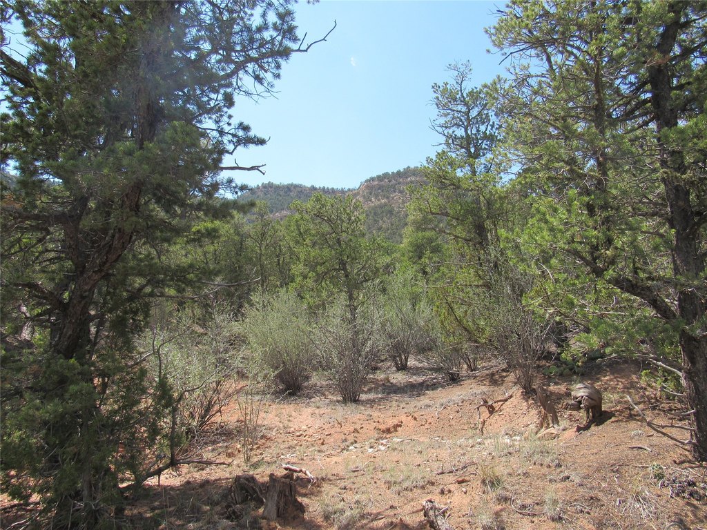 Picture 10