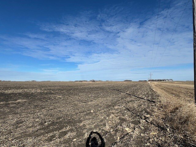 Picture 25