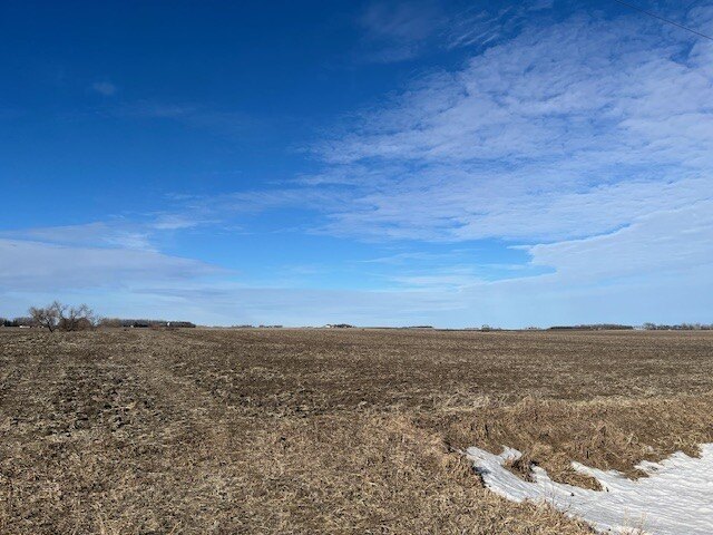 Picture 16