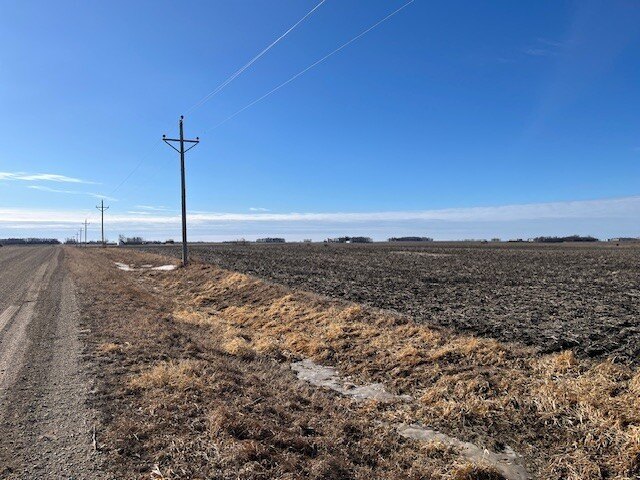 Picture 23
