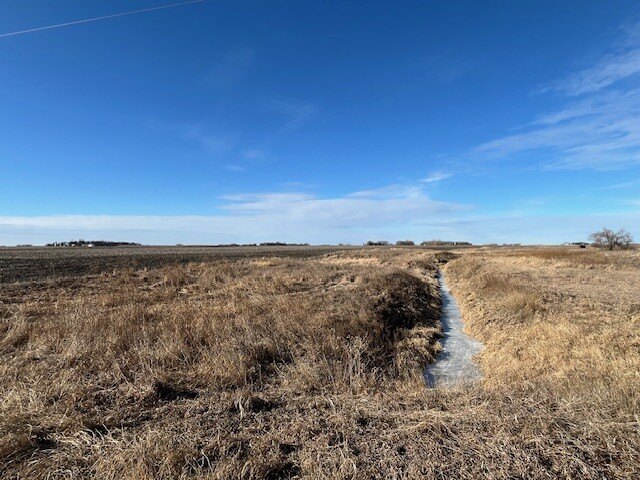 Picture 18