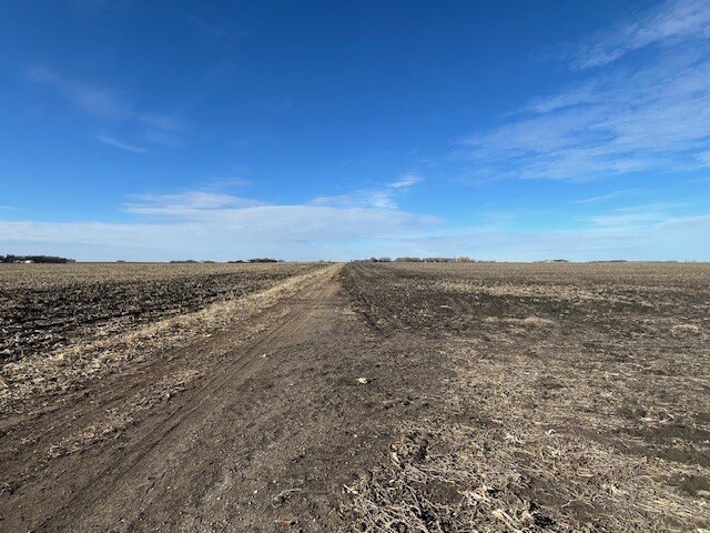 Picture 20