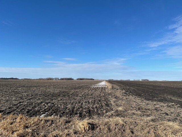 Picture 21