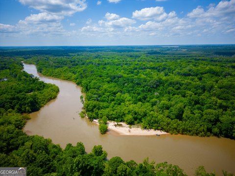 1376.50 Acres on Ocmulgee River