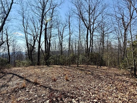 Sapphire NC Homesite with Views