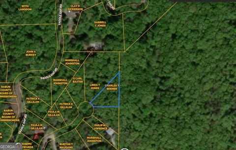 Land with Mountain Views