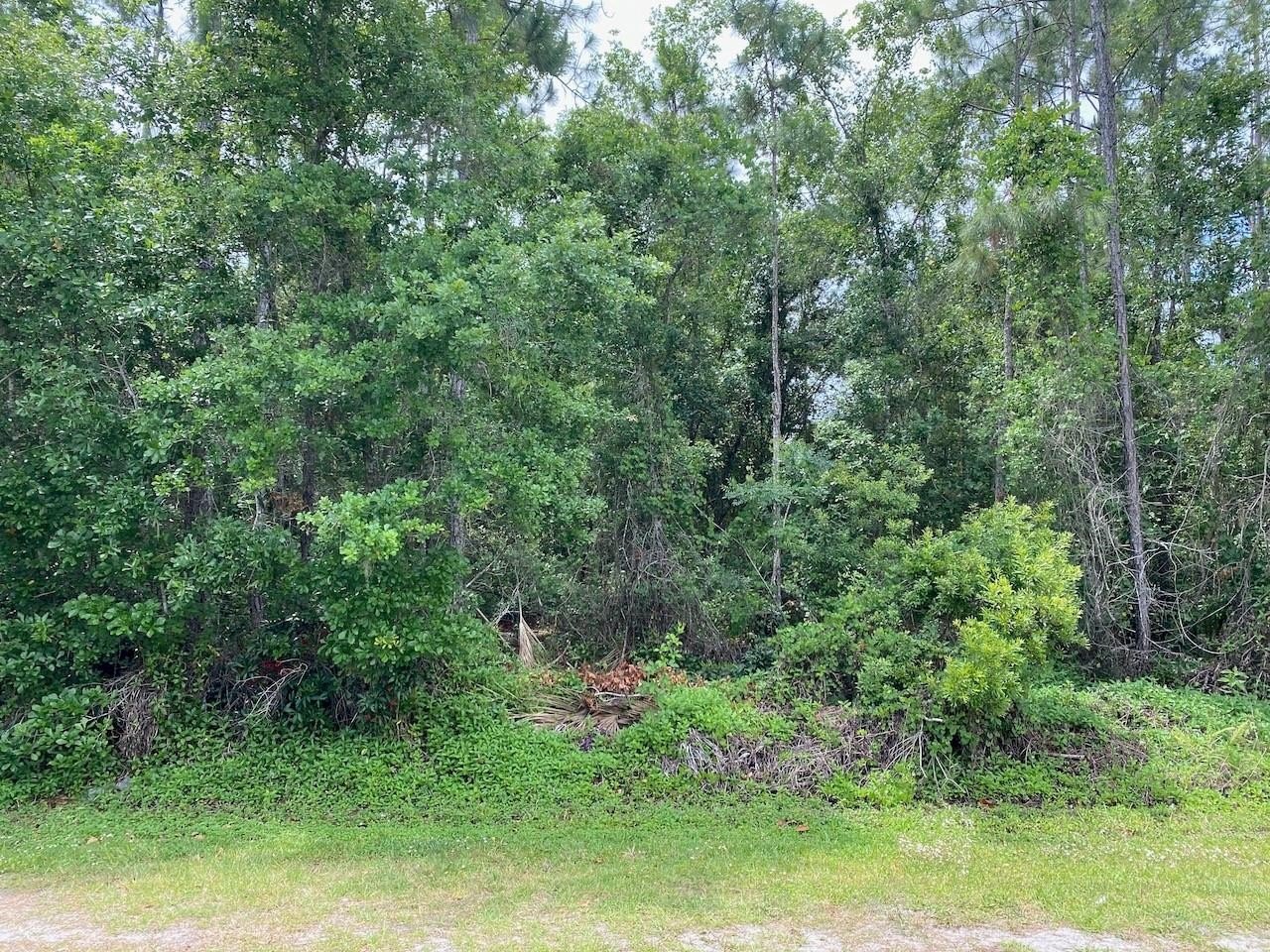 Land Near Indian Lake Estates